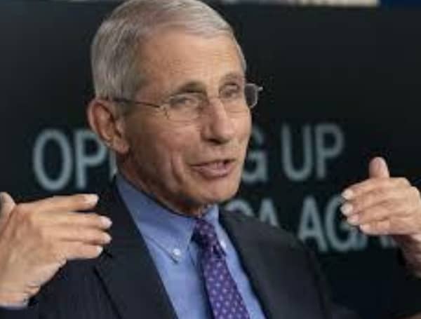 Fauci says US must prepare for omicron variant: 'Inevitably it will be here'