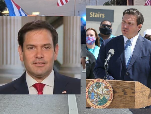 Republican Gov. Ron DeSantis and Sen. Marco Rubio of Florida defeated Democratic challengers to retain their positions.