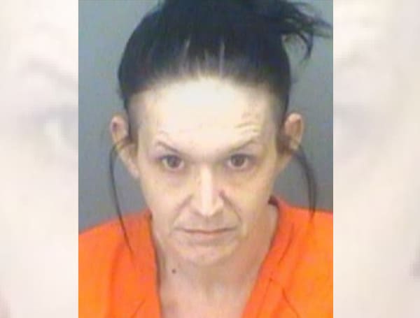 Florida Woman Arrested 1