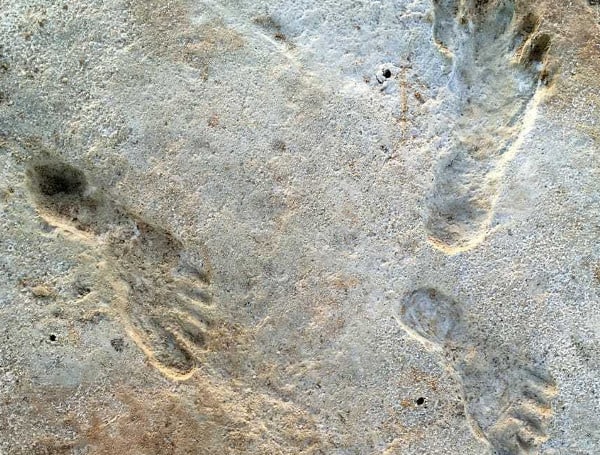 New Mexico Footprints Found