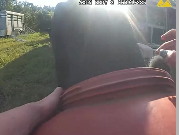 Cow Head Stuck In Barrel Florida