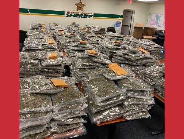 Florida Man Loses 770 Pounds Of Marijuana