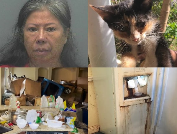 Florida Woman Cats House Hoarder Arrested