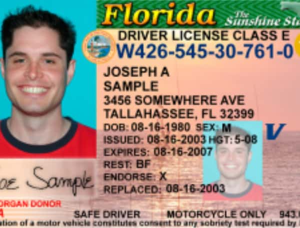 Florida Drivers License