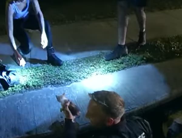 Deputies in Florida came to the rescue of a kitten in distress and a rescue ensued that was all caught on camera.