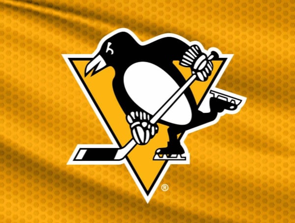 The holding company that owns the Boston Red Sox is in negotiations to buy the Pittsburgh Penguins hockey team, The Wall Street Journal reported.