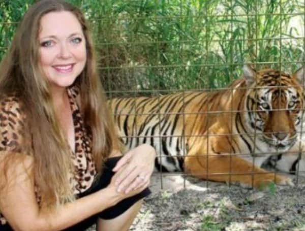 In November, Big Cat Rescue CEO Carole Baskin and her husband Howard Baskin filed a lawsuit against Netflix to block the release of "Tiger King 2".