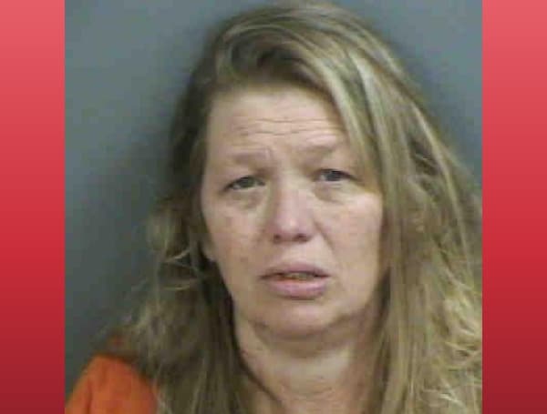 Florida Woman Arrested For DUI after hit and run