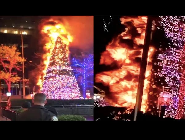 Craig Tamanaha, a 49-year-old man charged with arson for allegedly igniting the Christmas tree outside of Fox News’ headquarters in New York City and causing $500,000 in damage, was released Wednesday because his charges were not eligible for bail.