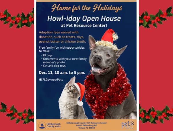 Hillsborough County’s Pet Resource Center will hold a 'Howl-iday' Open House on Saturday to help shelter dogs and cats find a home for the holidays.