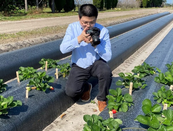 Dr. Kevin Wang, a new UF/IFAS agricultural engineer