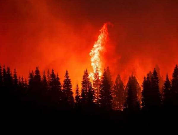 Authorities revealed the cause of the second-largest wildfire in California’s history, fire officials announced Tuesday.