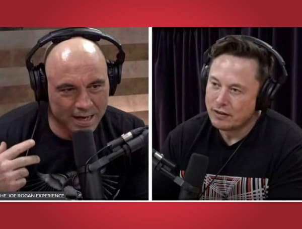 In May 2020, Elon Musk appeared on Joe Rogan’s show to discuss his new baby, Warren Buffett, and coronavirus lockdowns.