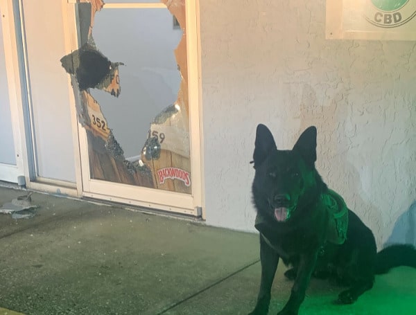 A 14-year-old Spring Hill bot has been arrested after a late-night break-in of a Vape shop, led a K-9 directly to the boy's bedroom window.