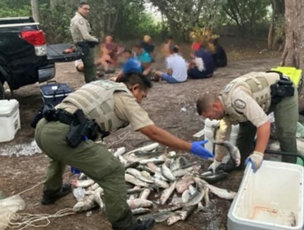 The Florida Fish and Wildlife Conservation Commission (FWC) announced the arrest and charge of 10 men from Atlanta, Georgia for the unlawful use of a monofilament entanglement net (gill net) for the take of several species of fish and sharks at the Skyway Bridge North Rest Area.