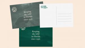Branding for the Florida Wildlife Federation by Regular Animal