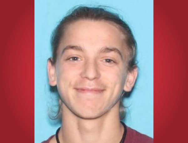 The Hillsborough County Sheriff's Office is requesting the public's assistance in searching for a missing and endangered man.