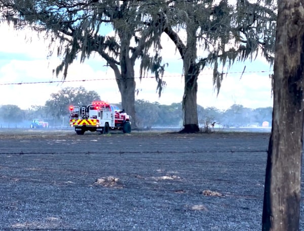 Pasco County Fire Rescue Firefighters and Forestry responded to the area of County Line Road and the Suncoast Parkway (Shady Hills) for a fast-moving brush fire on Friday.