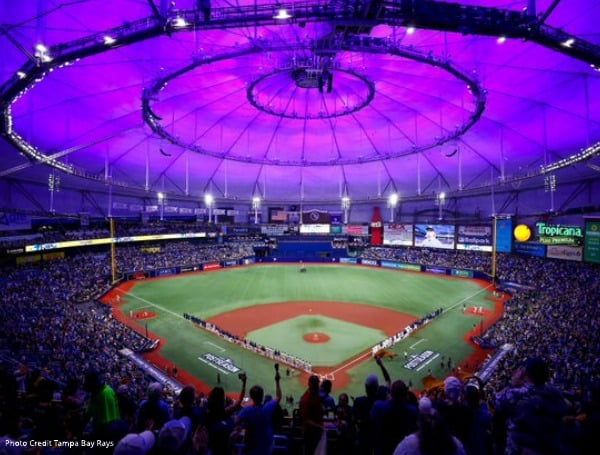 ST. PETERSBURG. Fla. - A fan at the Tampa Bay Rays game went into cardiac arrest Friday and was saved by Good Samaritans and EMS crews.