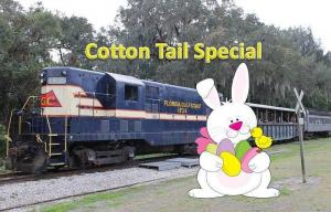 6462083 cotton tail special header 300x192 1