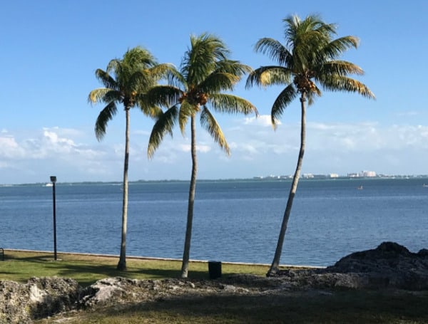The city of Miami spent almost $5 million to upgrade a popular public park. The project was intended to promote “resiliency,” the latest buzzword in climate-change politics.
