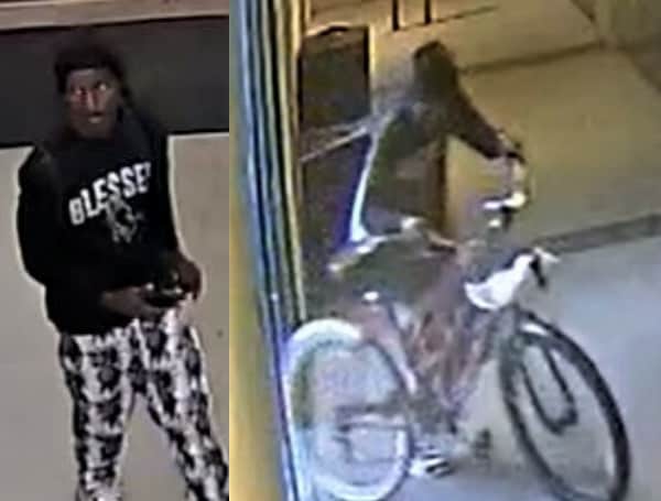 Deputies are searching for a man who stole a woman's wallet from her purse at a Dollar General location in Bradenton.