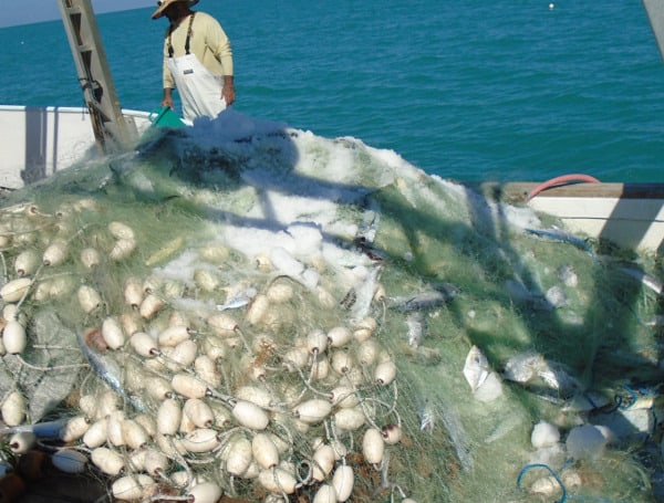 The Florida Fish and Wildlife Conservation Commission (FWC) has charged a vessel captain with the unlawful use of a monofilament entanglement net (gill net) to take pompano outside of the Pompano Endorsement Zone in federal waters of the Gulf of Mexico. 