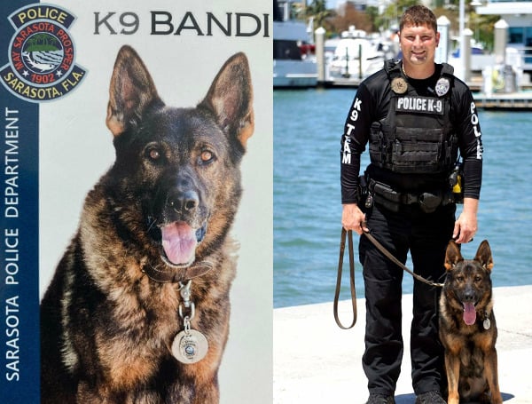 Sarasota Police Department is mourning the death of one of their police canines, K9 Bandi.