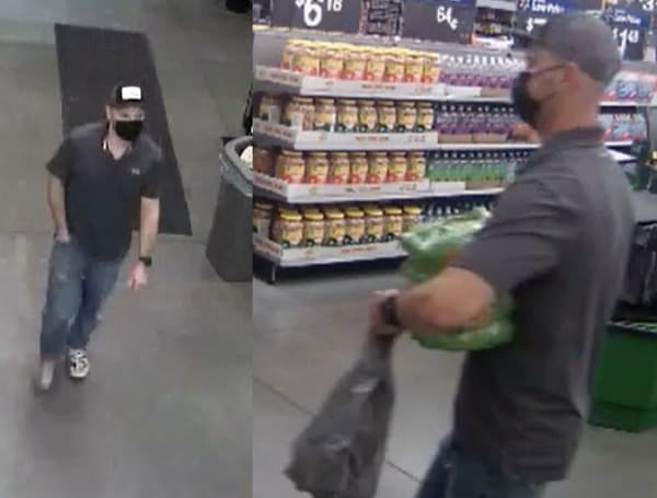 On March 16 around 10 p.m., a suspect stole a credit card & other items from a car in a parking lot in the area of Ridge Rd. & Little Rd., in New Port Richey.