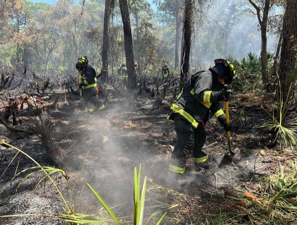 St. Petersburg Fire Rescue responded to a brush fire at Boyd Hill Nature Preserve, today at approximately 12:00 pm.