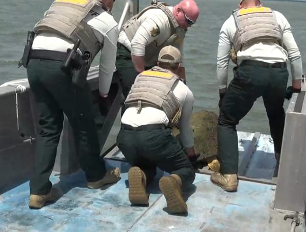 Florida Marine Unit Saves Distressed Sea Turtle. Sea turtles, who are among the oldest creatures on earth, have remained essentially unchanged for 110 million years; however, they face an uncertain future. 