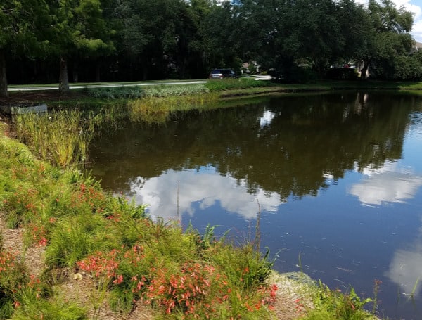 Stormwater ponds are built to prevent soil erosion and flooding. They’re also considered a Best Management Practice, or BMP, to reduce pollutants from flowing into natural water bodies. They’re good at the former and not as good as they could be at the latter.