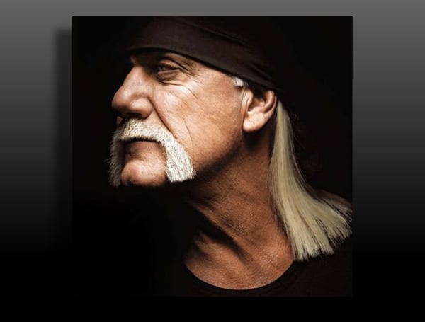 Former pro wrestler, Hulk Hogan, filed a Hillsborough County “Petition for Extension of Statute of Limitations” on April 13, which was granted by the court the same day. 