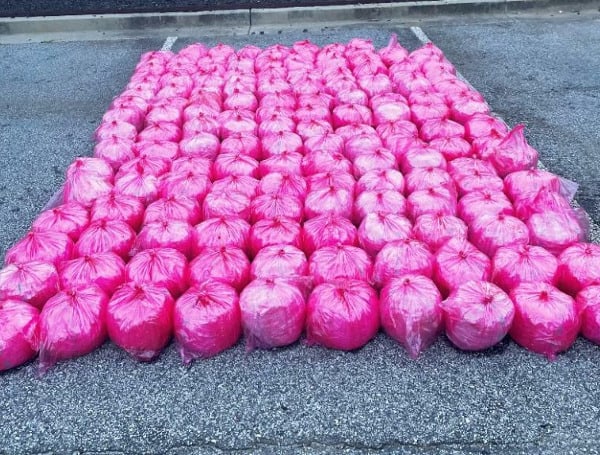 U.S. Customs and Border Protection, Office of Field Operations (OFO) at the Laredo Port of Entry seized more than $35 million in alleged methamphetamine in a commercial truck hauling strawberry purée.
