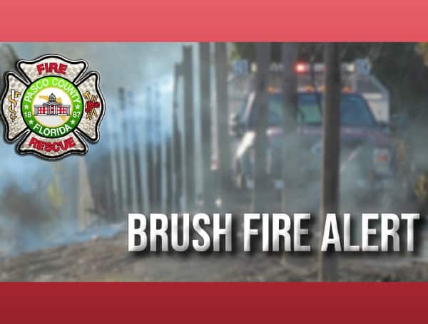 US-19 | Firefighters, report a 2-5 acre brush fire near the intersection. Firefighters have staged units near homes in the area as FL Forest Service uses
