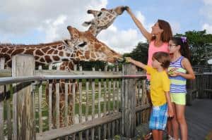 Fun for the whole family at Zoo Miami