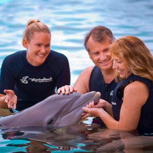 marineland-florida-AZA-the-dolphin-company