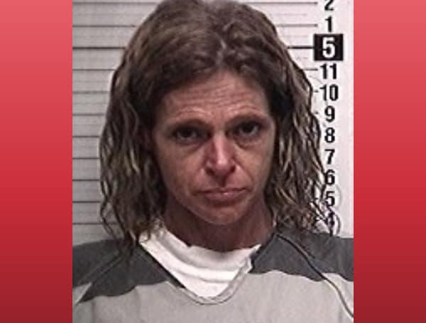 The Bay County Sheriff's Criminal Investigations received information on May 20, 2022, that 44-year-old Summer Dykes intentionally set fire to her residence around April 16, 2022, with a juvenile occupant inside. 