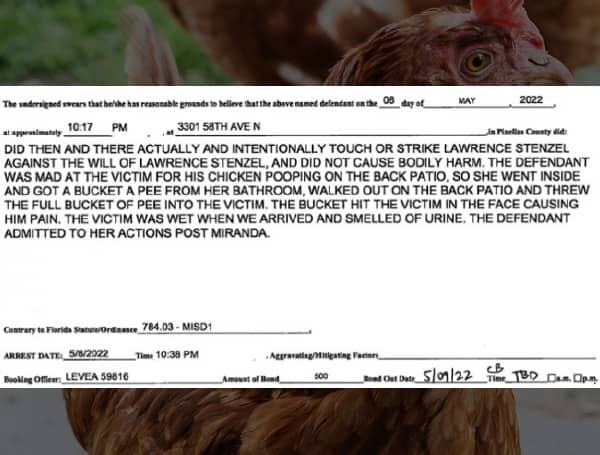 Editors note: If you have chickens, you shouldn't let them defecate on your neighbor's pato. That's rude. If you have a bucket of urine in your bathroom, that could also be a problem. 