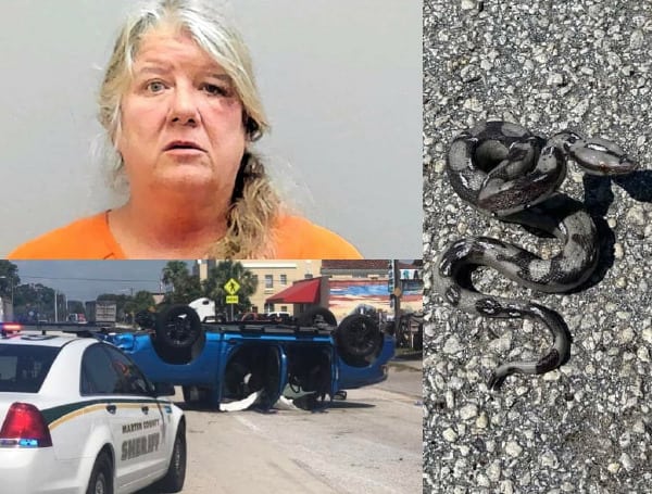 After intentionally trying to run down a motorcycle unit, causing a crash, and throwing rubber snakes, a Florida woman who led deputies on a crazy pursuit was arrested.
