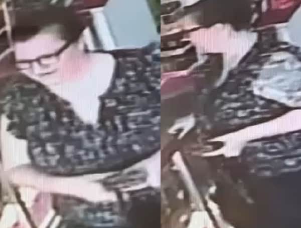 The Polk County Sheriff's Office is investigating a theft-fraud case in which credit cards were stolen from a victim.