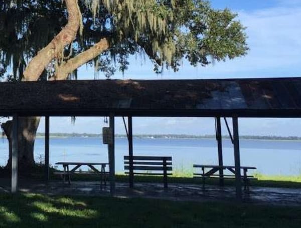The Florida Department of Health in Polk County has issued a Health Alert for the presence of harmful blue-green algal toxins in Lake Hamilton East (Sample Park).