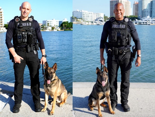 K-9 Bruin and K-9 Brody recently completed more than 600 hours of training and are both currently assigned to the Sarasota Police Department Patrol Division.