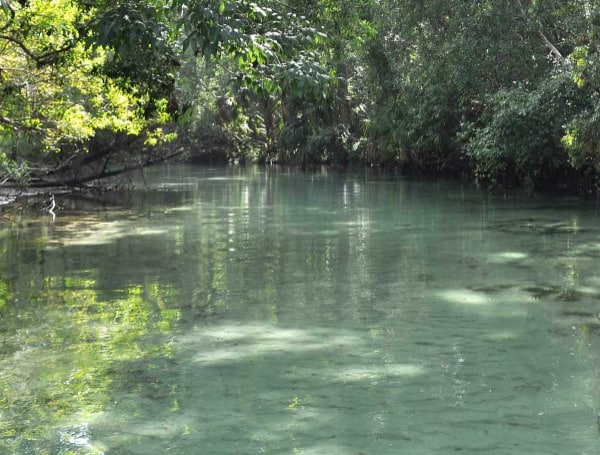 Starting this month, the Southwest Florida Water Management District will hold an independent, scientific peer review of wetland-based criteria to establish minimum wetland and lake levels beginning.