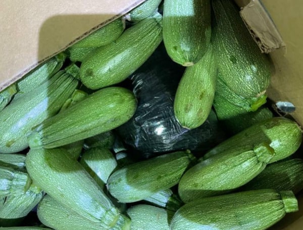 U.S. Customs and Border Protection officers at the Otay Mesa cargo crossing in San Diego found more than 550 pounds of methamphetamine and almost three pounds of cocaine hidden in a shipment of squash. 