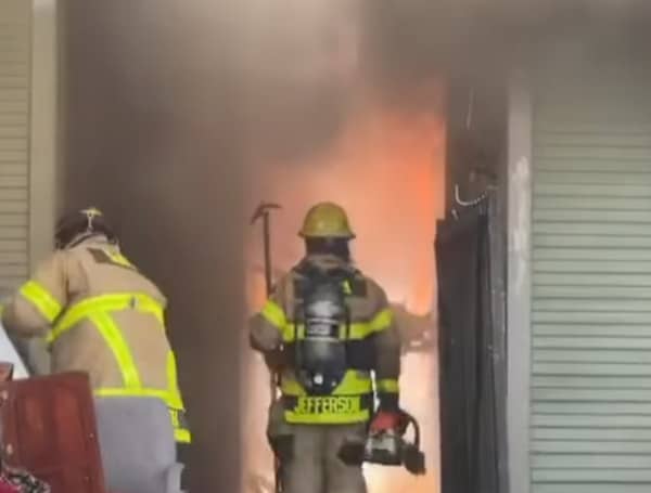 dogs saved from house fire