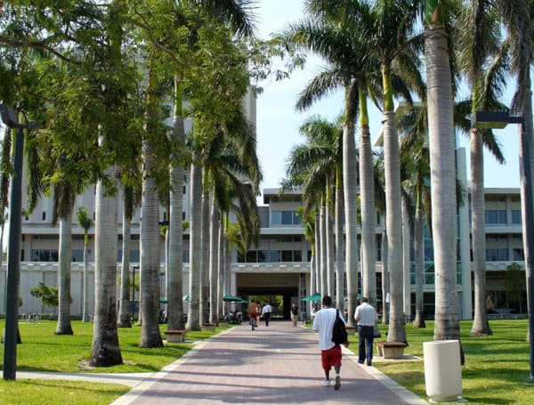 Even worse, young people get to waste an academic session by applying to the wrong institution. Florida is a good location for schooling, but what school should you go to exactly?