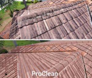 Roof cleaning for a home in Tampa, FL