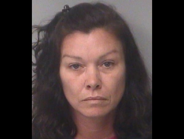 Clearwater Police economic crimes detectives have charged a 44-year-old woman with duping an elderly man with dementia into signing over two properties to her son.