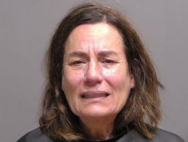 The victim told deputies that he was attacked by 61-year-old Elizabeth Lugger, saying she struck him several times, choked him, and pointed a firearm at him. 